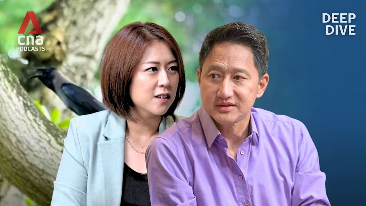 Deep Dive Podcast - Crow shooting and wildlife control: How can we co-exist better?