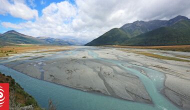 Man who drowned in Waimakariri River was trying to save dog