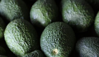 New Zealand avocados find growth in Asia | News