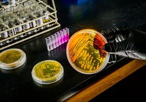 New study finds deep ocean microbes already prepared to tackle climate change