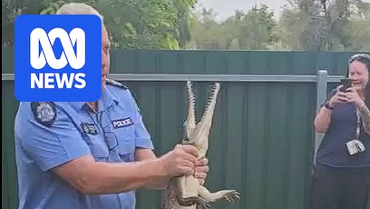 Fitzroy Crossing's top cop wrangles Kimberley crocodile in backyard