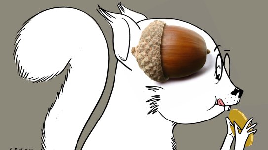 Squirrelling away $200,000 into your super is likely the best option, despite potential market falls.