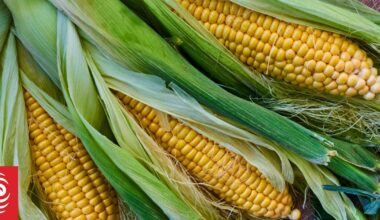 Heinz Wattie's proposes closure of three manufacturing facilities, impacting 350 jobs