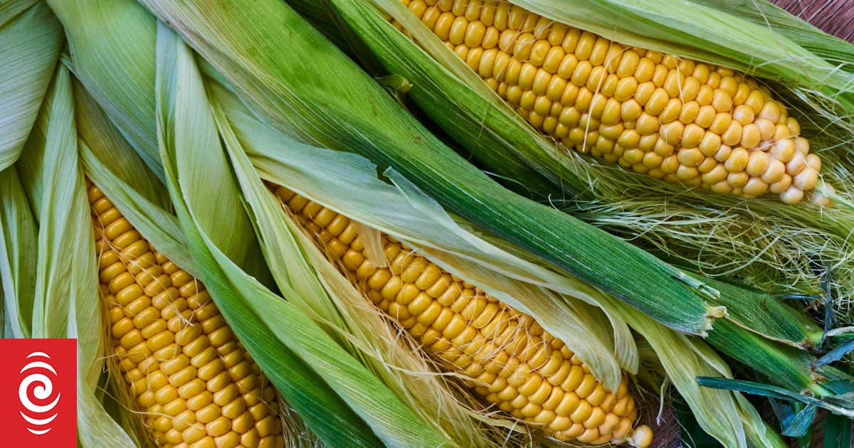 Heinz Wattie's proposes closure of three manufacturing facilities, impacting 350 jobs