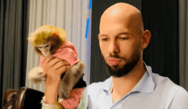 Andrew Tate 'spotted' with monkey - days after claiming he wanted to buy Punch the monkey