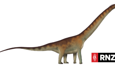 Dinosaur fossils in Brazil reveal new giant species Dasosaurus tocantinensis