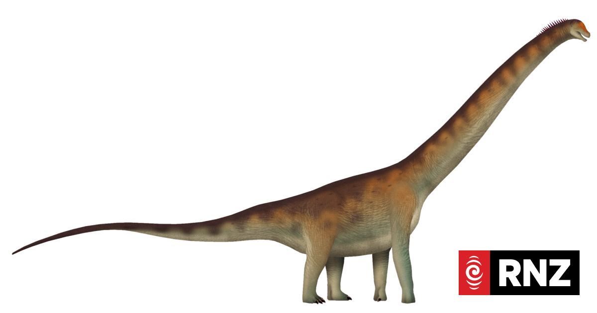 Dinosaur fossils in Brazil reveal new giant species Dasosaurus tocantinensis