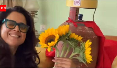 'VIP has finally arrived': Sameera Reddy's hilarious LPG reel grabs attention - watch video | Hindi Movie News