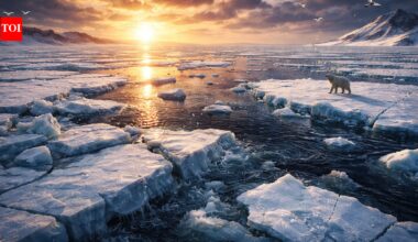 Arctic Sea Ice: Arctic sea ice heading for one of lowest winter peaks on record: Report