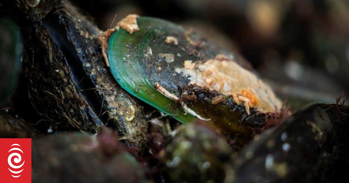 Fish processor Ikana New Zealand fined $20,000 for nine biosecurity offences