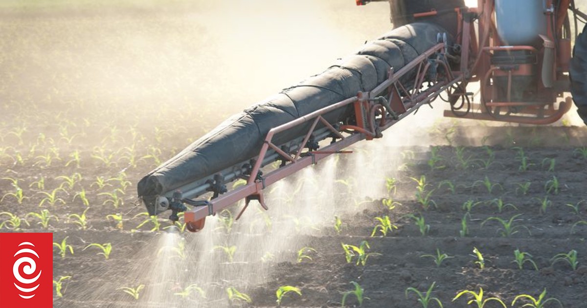 Aside from oil, how else could the Iran conflict impact on NZ?