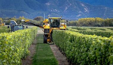 Theatre's accountant goes off-script with 'dire' wine predictions