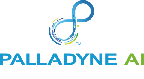 Palladyne AI Subsidiary Selected by U.S. Navy to Develop Low Cost Near Hypersonic Missile