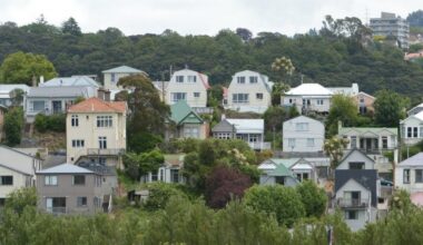 Porch sleeper prompts plea from police