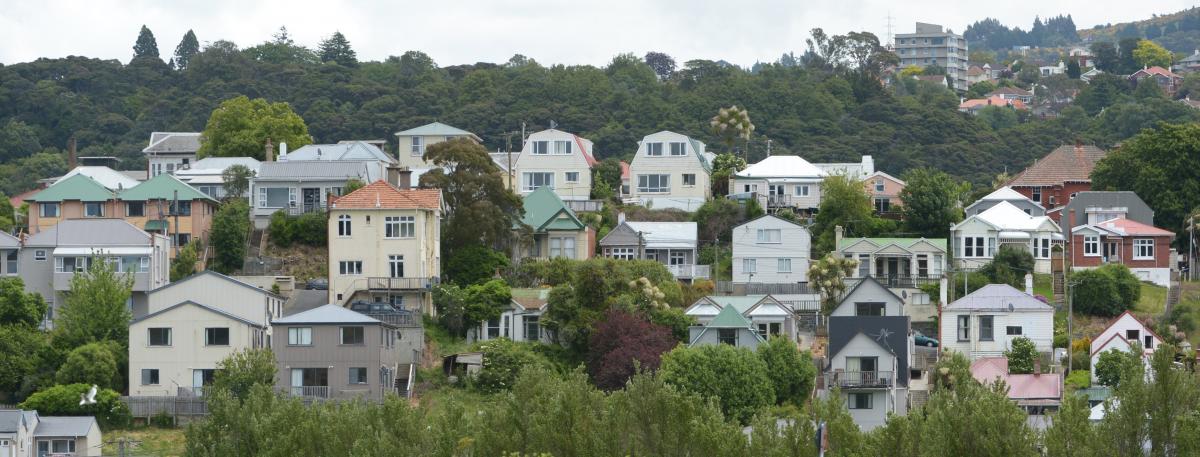 Porch sleeper prompts plea from police