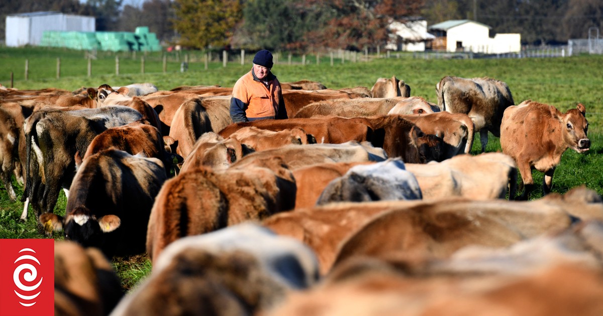 Inflating cost of running a farm now structural - report