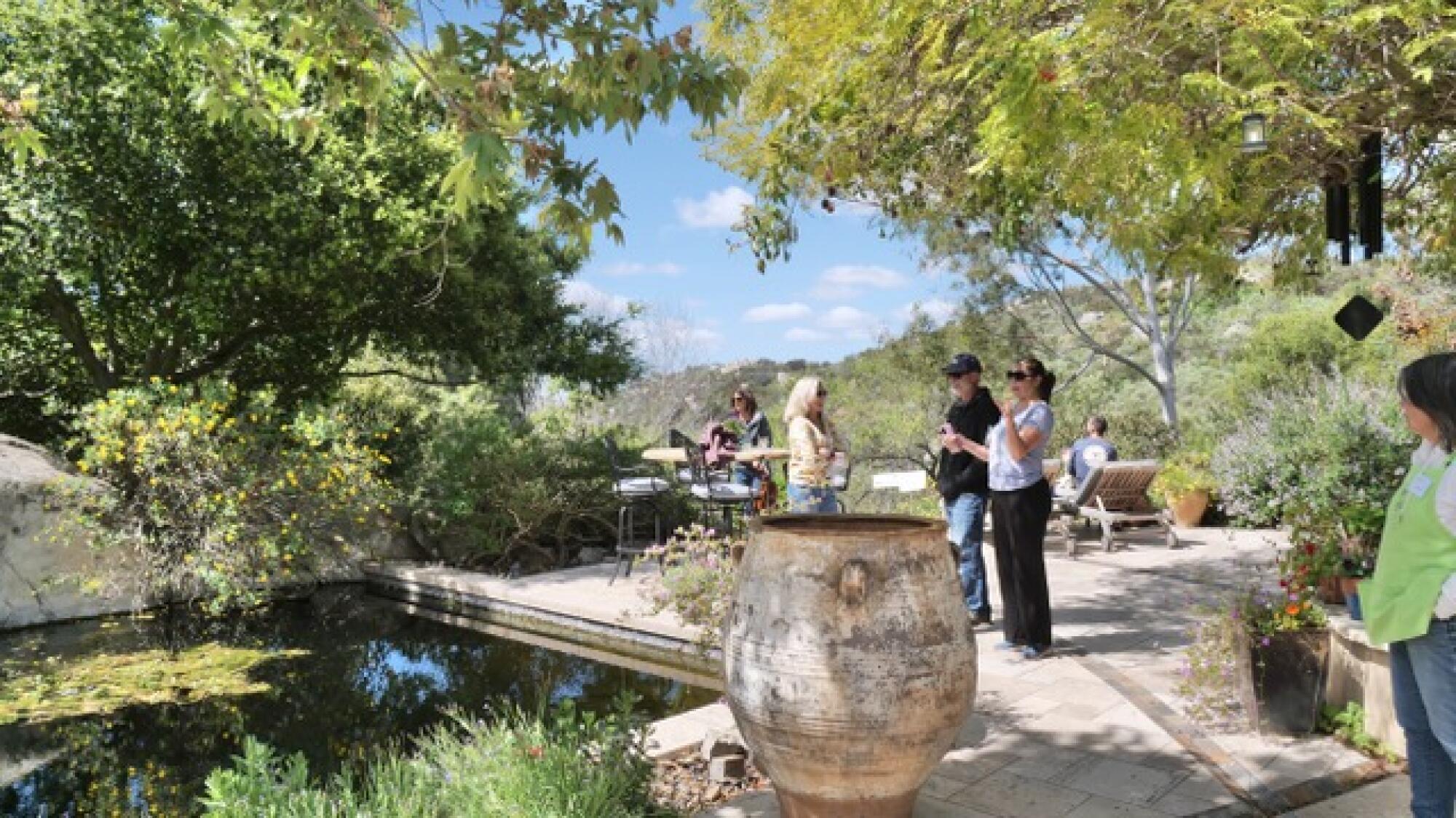 Cleveland sage (purple) grows inside the north Westwood Greenway.