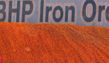India takes rare cargo of Australia's BHP iron ore banned by China