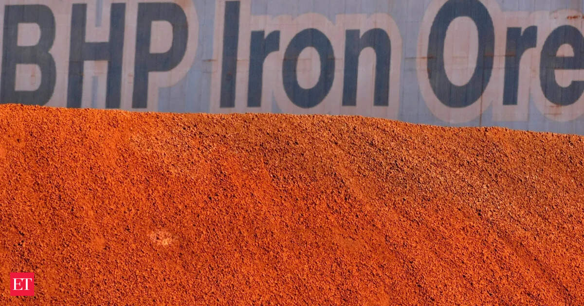 India takes rare cargo of Australia's BHP iron ore banned by China