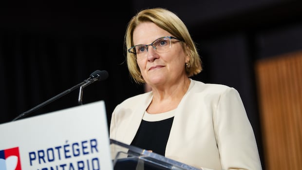 Ontario plans to create connected primary care medical record system, minister says