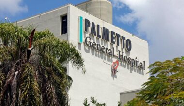 Michael Sarian calls ousting as Florida hospitals CEO a coup