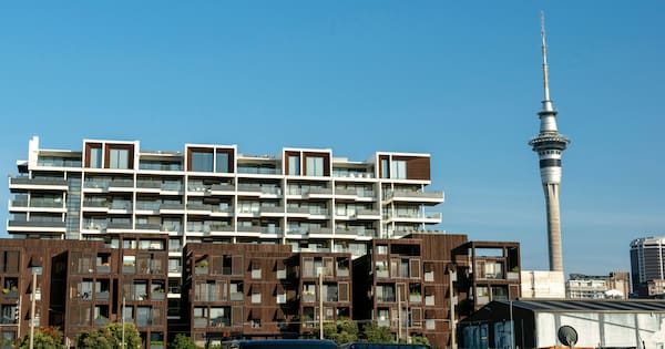 Two million homes? Visiting expert weighs in on Auckland housing debate