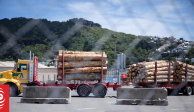 Road rage of a different kind: How cranes and trucks are feeling jammed up