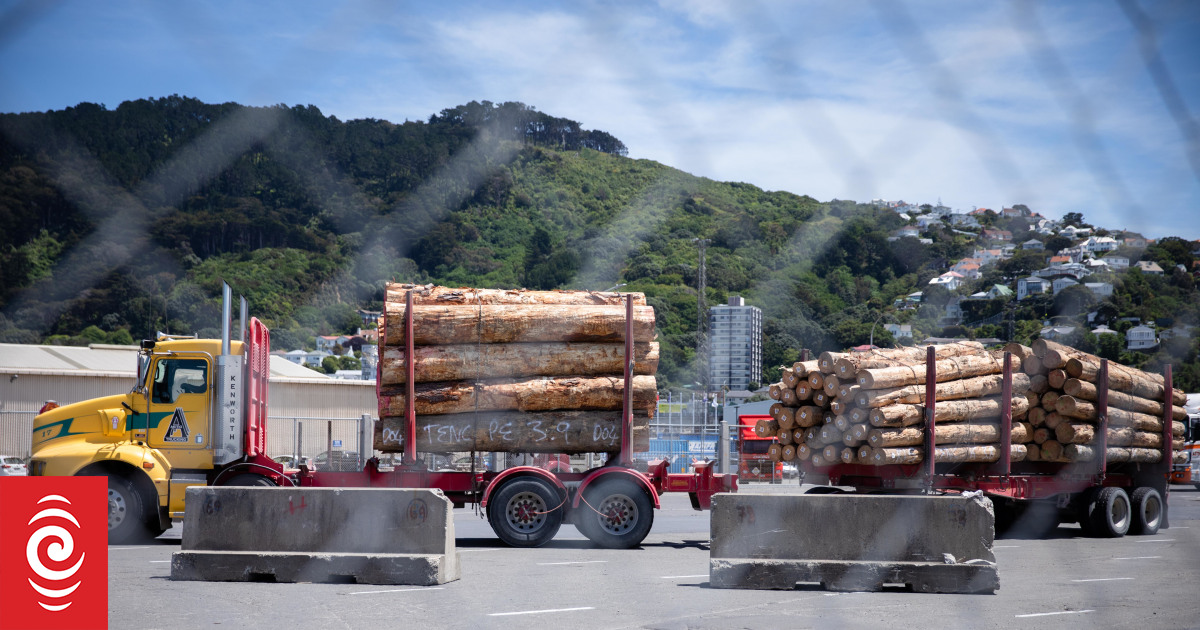 Road rage of a different kind: How cranes and trucks are feeling jammed up