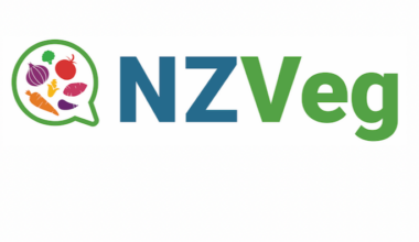 New Zealand vegetable industry bodies unify to launch new representative council NZVeg | News