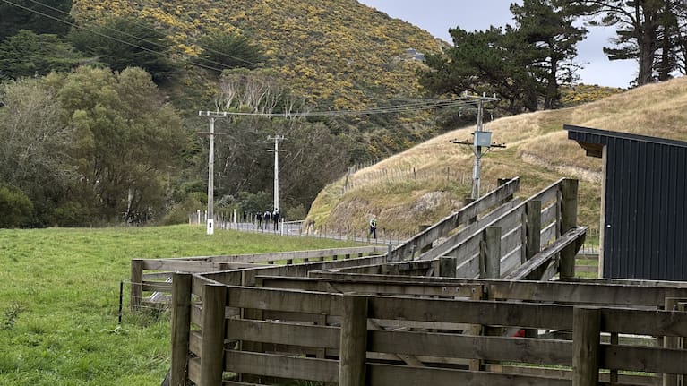 Police were called to Mākara Rd about 8am following reports of a vehicle upside down in a body of water.