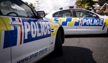 Young boy critically injured after falling out of tree in Upper Hutt park