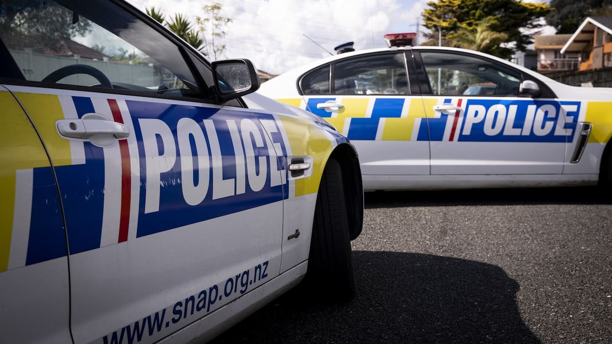 Young boy critically injured after falling out of tree in Upper Hutt park