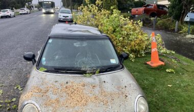 Damaging winds batter Dunedin overnight