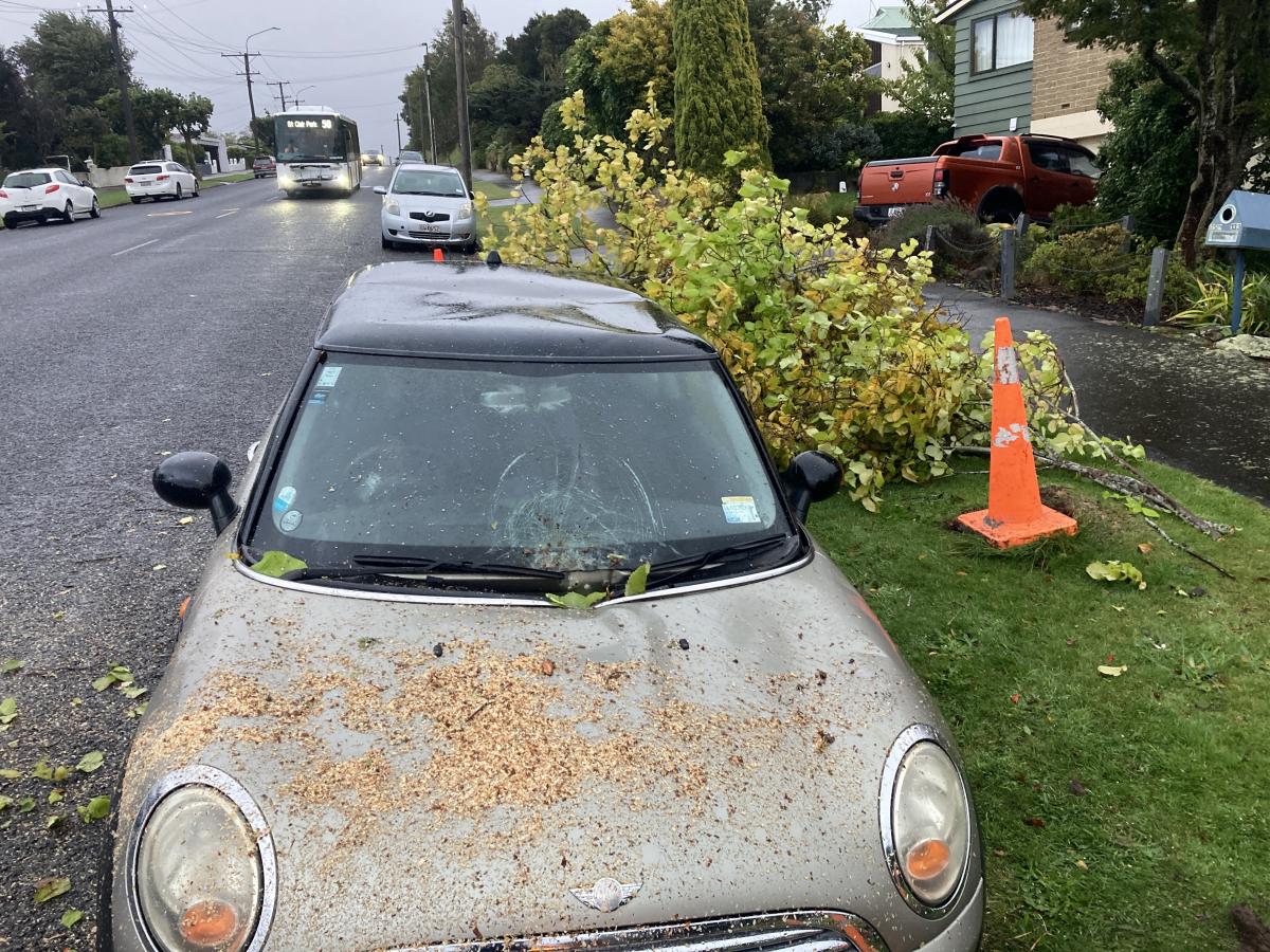 Damaging winds batter Dunedin overnight