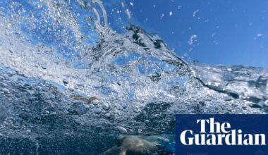 Dolphins, stingers and ‘salt tongue’: an epic ocean swim around New Zealand’s east coast | New Zealand