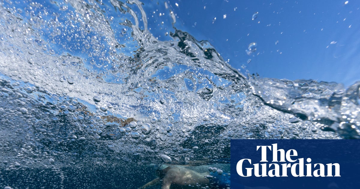Dolphins, stingers and ‘salt tongue’: an epic ocean swim around New Zealand’s east coast | New Zealand