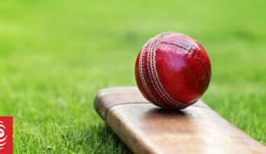 The 'McDonald's hamburger' of cricket bats that could hit high prices for six