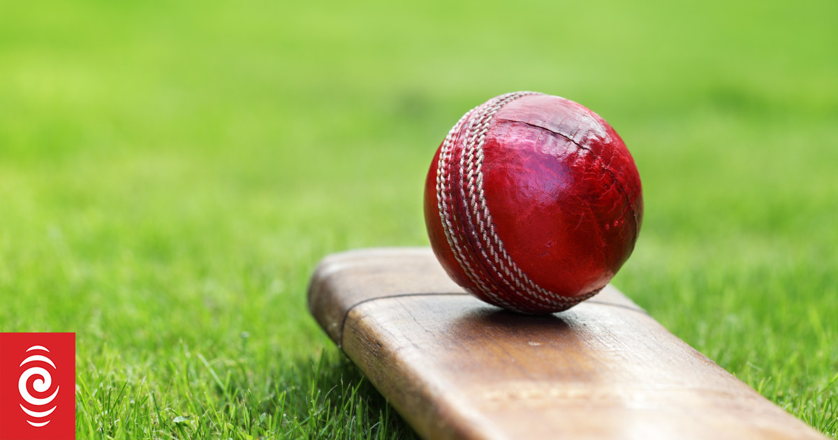 The 'McDonald's hamburger' of cricket bats that could hit high prices for six