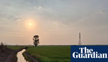 In Thailand’s rice paddies, rising petrol prices spell disaster for farmers | Thailand