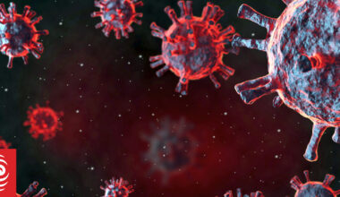 One vaccine, many diseases: The study trying to find universal protection