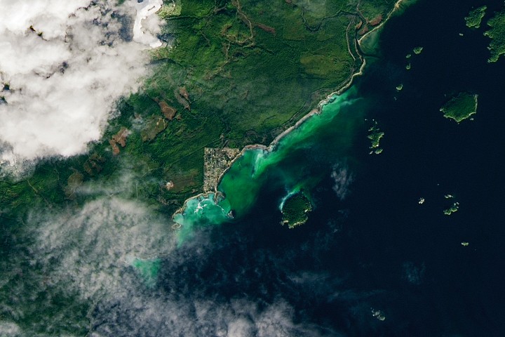 Satellite Spots a Spawn - NASA Science