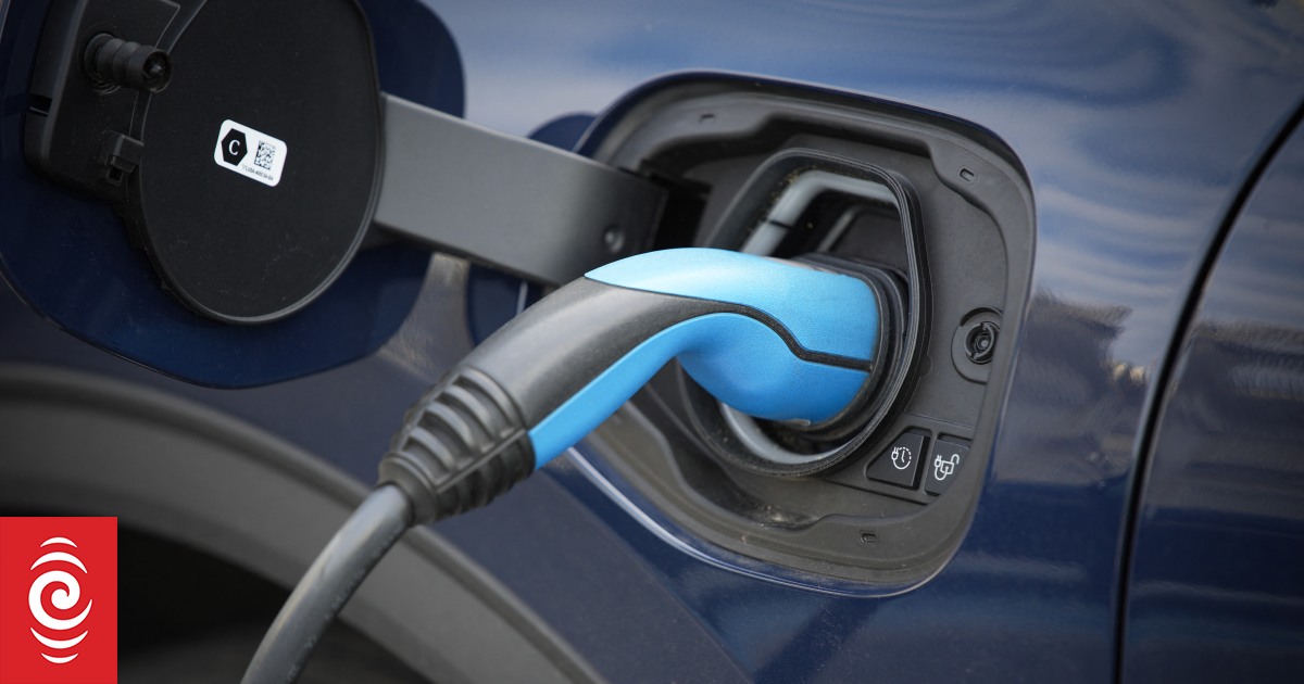 Ford EV problem 'couldn't have happened at a worse time'