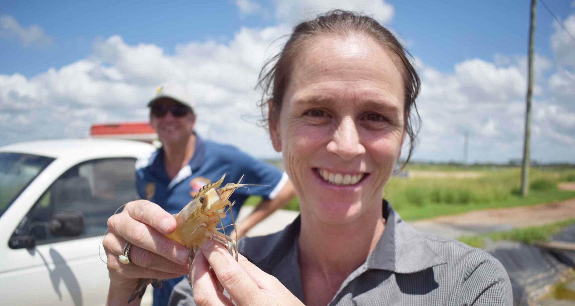 Australian startup finds niche in Southeast Asian shrimp farms