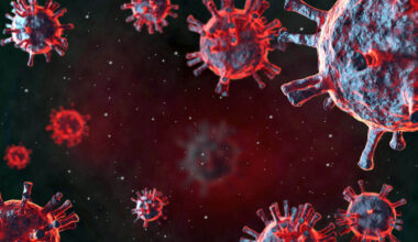 The study trying to find universal protection