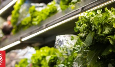 Advocacy group calls for prioritisation of food security amid fuel crisis