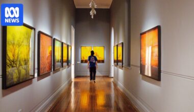 Contemporary regional life looms large in major Brad Rimmer exhibition