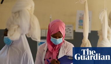 Malnourished children and desperate mothers: the healthcare facility on the frontline of Nigeria’s hunger crisis | Nigeria