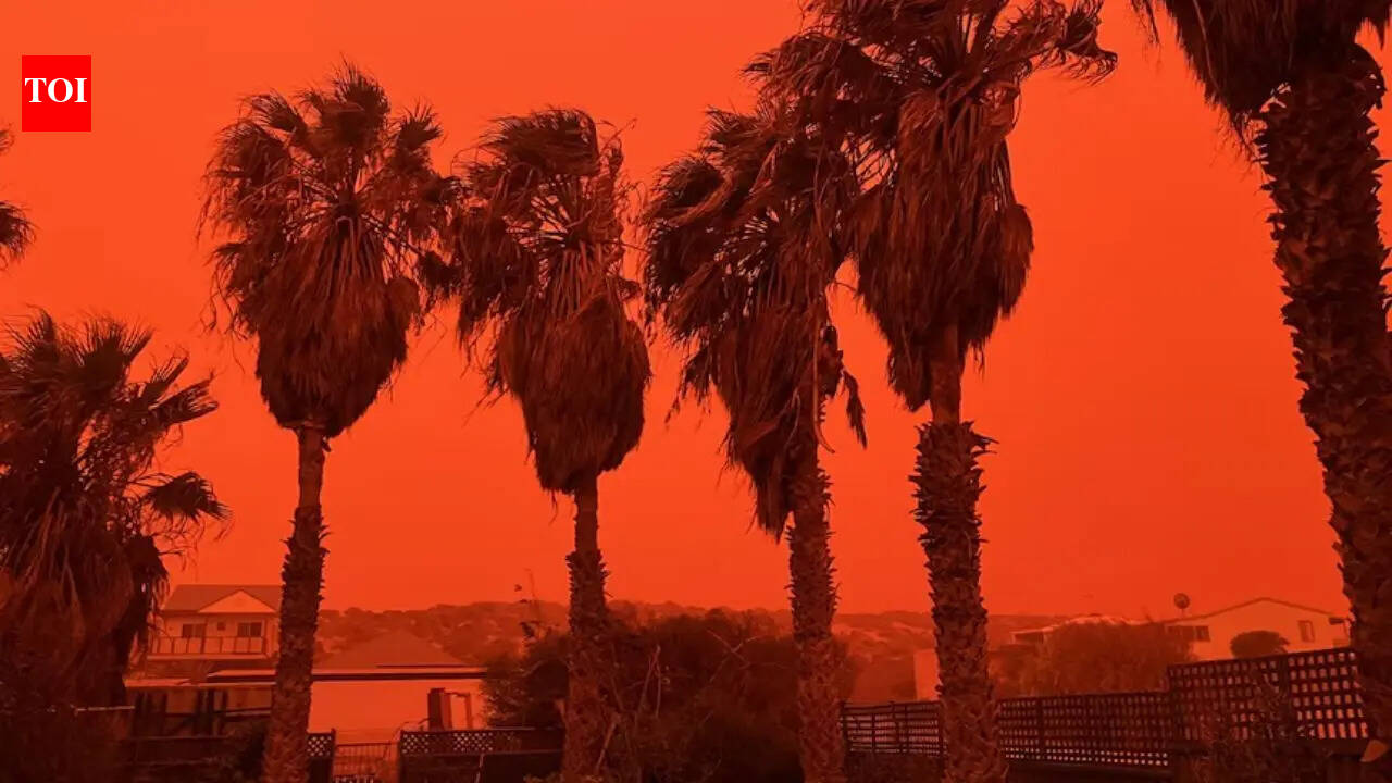 Cyclone Narelle turns skies blood-red over Western Australia in rare dust storm event: What caused the eerie crimson glow and how it happened | World News