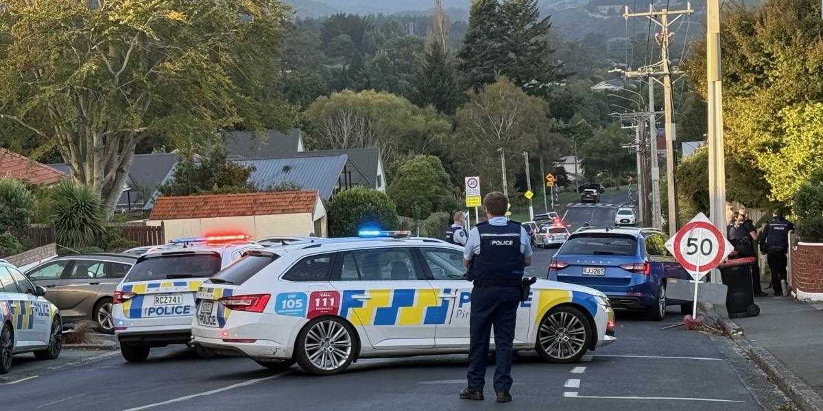 Man in custody after armed police callout on Helensburgh Rd
