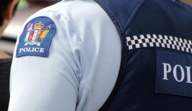 Police looking for man ‘approaching’ young children in Wellington